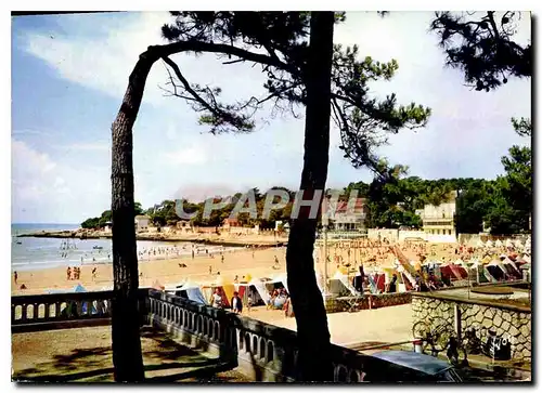 Cartes postales moderne La Cote de beaute Saint Palais sur Mer Ch M la Plage