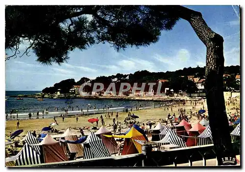 Cartes postales moderne Cote de beaute Saint Palais sur mer la Plage