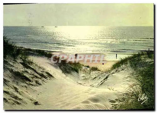 Cartes postales moderne La Cote Atlantique Coucher de Soleil sur les dunes