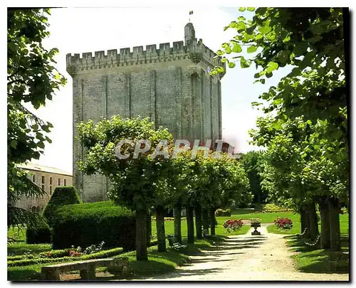 Cartes postales moderne Pons le Donjon vu des jardins