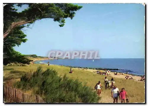 Cartes postales moderne Ile de re la Couard Ch Mme Plage du Boutillon