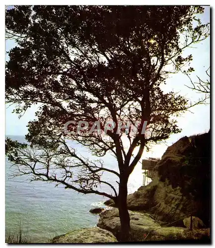 Cartes postales moderne Royan Cote Atlantique contre jour