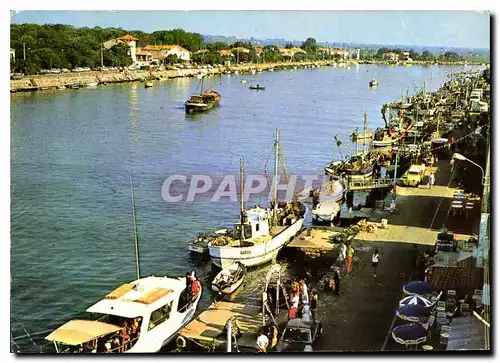 Cartes postales moderne Le Grau d'Agde les Quais