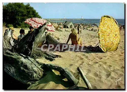 Cartes postales moderne La Tamarissiere Herault la Plage