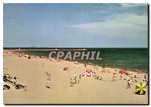 Cartes postales moderne Valras Plage Plage et Jetee