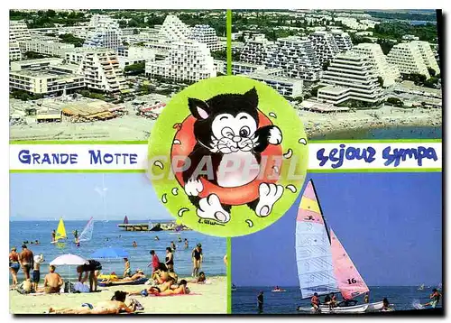 Cartes postales moderne La Grande motte Herault Cite Balneaire