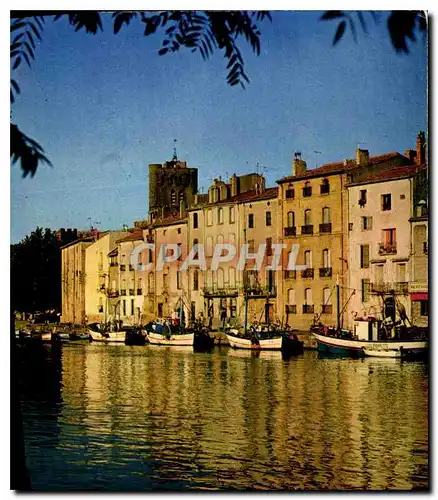 Cartes postales moderne Littoral Languedocien Agde le Soir decline sur la rive