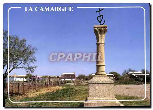 Cartes postales moderne Camargue la Croix des Gardians Aux Stes Maries de la Mer