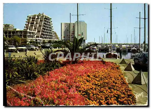 Cartes postales moderne La Grande Motte Herault les Jardins le Port et les Pyramides