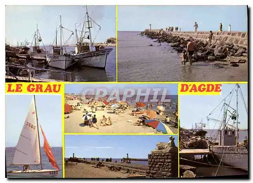 Cartes postales moderne Le Grau d'Agde Souvenir