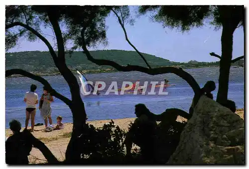 Cartes postales moderne Sur les rives du Bassin de thau Balaruc les Bains contre jour sur la Plage dans le fond Sete