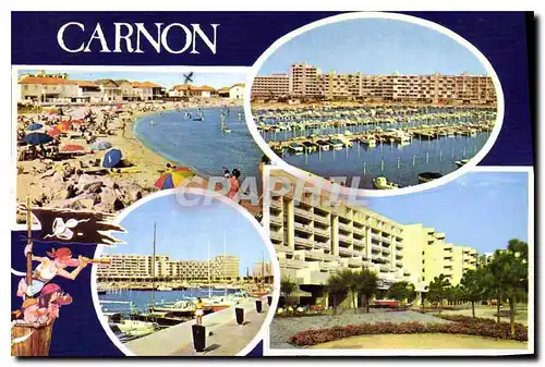 Cartes postales moderne Carnon Herault