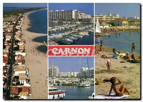 Cartes postales moderne Le Littoral Languedocien Carnon