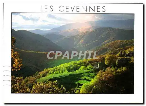 Cartes postales moderne Paysage des Cevennes