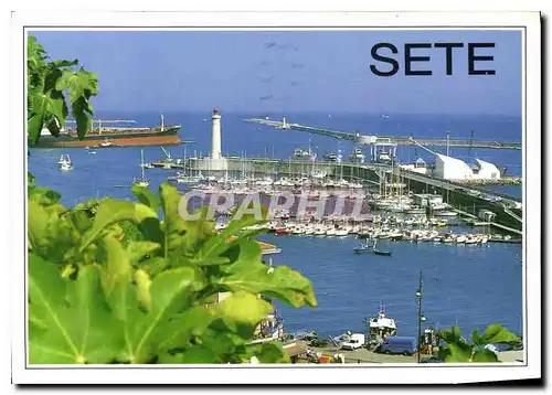 Cartes postales moderne Sete le port de Plaisance