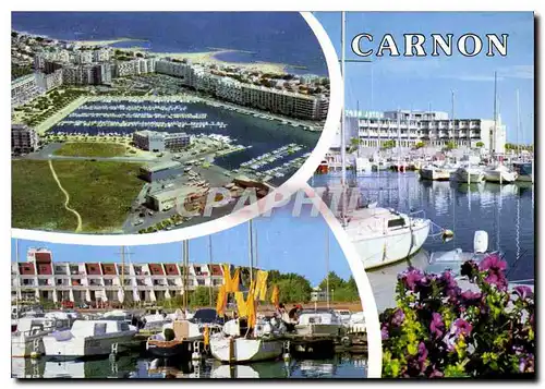 Cartes postales moderne Littoral Languedocien Carnon