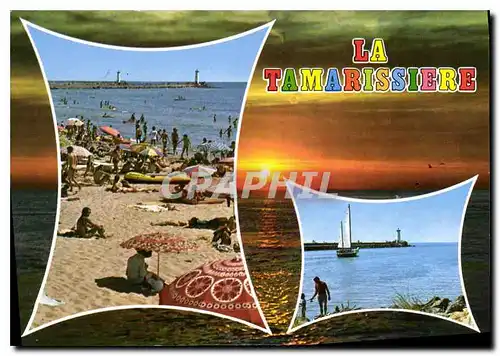 Cartes postales moderne En Parcourant la Cote Mediterraneenne la Tamarissiere Herault