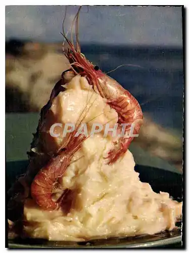Cartes postales Delices de la mer Les Crevettes