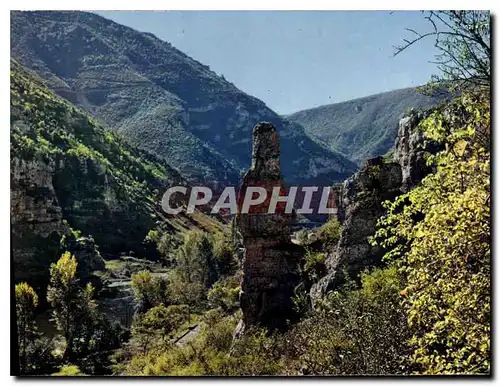 Cartes postales Les Gorges du Tarn Paysage pittoresque