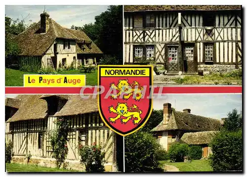 Cartes postales moderne Le Pays d'Auge Calvados Lion