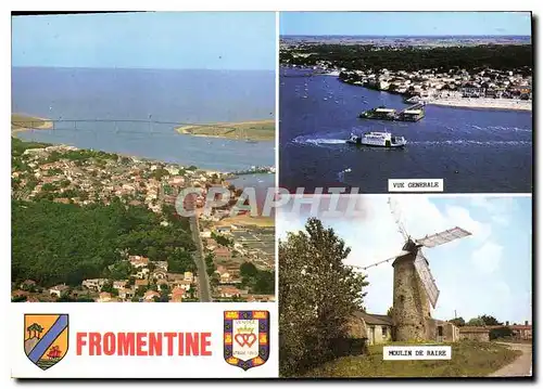 Cartes postales moderne Fromentine Vendee Vue generale Moulin de Raire