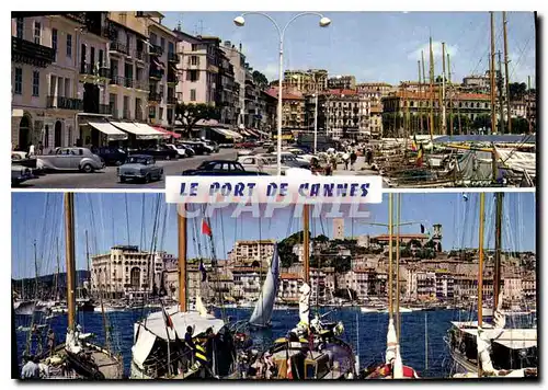 Cartes postales moderne La Cote d'Azur Cannes A M le quai Saint Pierre et l'hotel de ville le quai Saint Pierre et le Su