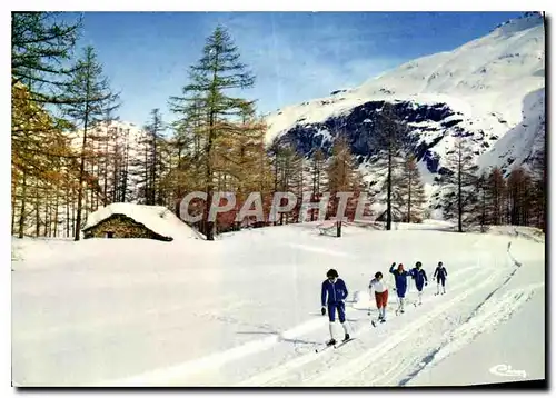 Cartes postales Neige et Soleil Pistes de ski de fond