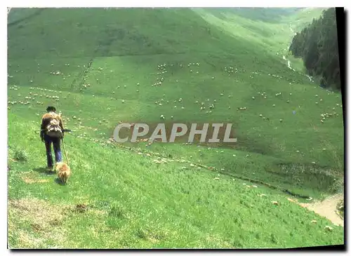 Cartes postales Houtland