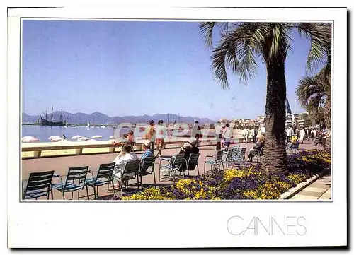 Cartes postales Cannes