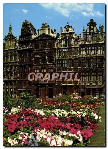Cartes postales moderne Bruxelles Grand Place la Brouette le Sac la Louve