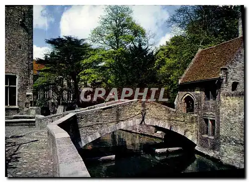 Cartes postales moderne Brugge Derriere Gruuthuuse