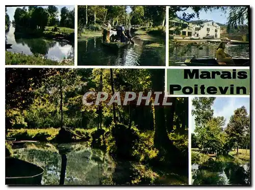 Moderne Karte Le Marais Poitevin Cathedrale de Verdure