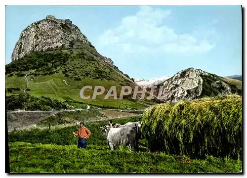 Cartes postales moderne Le Chateau de Montsegur Ariege detruit en 1224 par Simon de Monfort