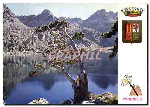 Cartes postales moderne Lumiere et couleurs des Pyrenees