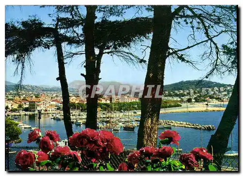 Cartes postales moderne Charmes et Soleil de la Cote d'Azur Sanary Perspective sur le port