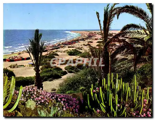 Cartes postales moderne Gran Canaria Playa del Ingles