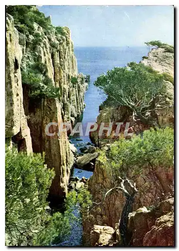 Cartes postales moderne Costa Brava San Feliu de Guixois Cala del Mular