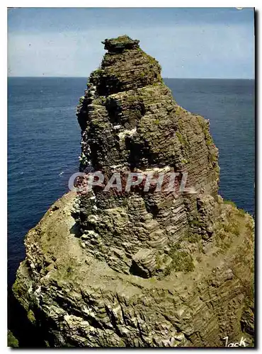 Moderne Karte Couleurs de Bretagne Le Cap Frehel la grande Fauconniere reserve d'oiseaux de mer