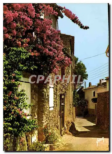 Cartes postales moderne Couleurs et lumiere de France La Cote d'Azur miracule de la nature Vieilles maisons fleuries de