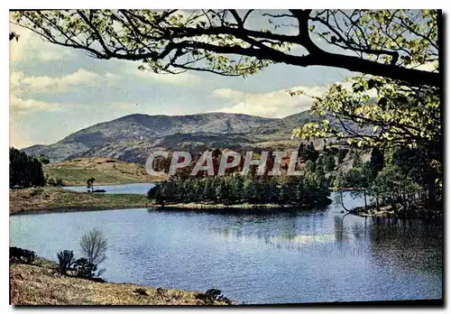 Cartes postales moderne Tarn Hows looking towards Coniston Fells