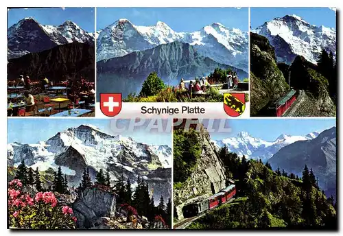 Cartes postales moderne Schynige Platte Berner Oberland