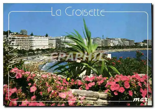 Cartes postales moderne La Cote d'Azur Cannes la Croisette