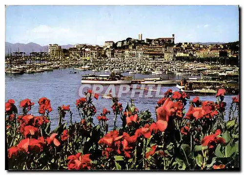 Cartes postales moderne Cannes vue generale sur le Suquet et un coin du Port