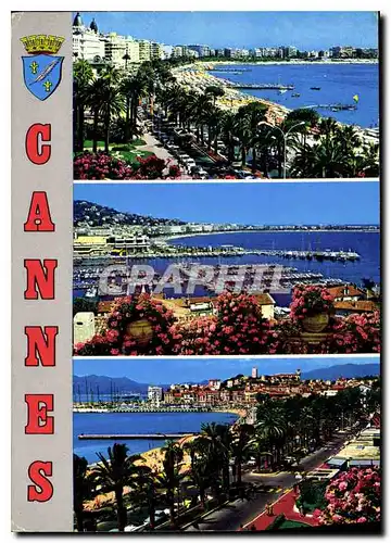 Cartes postales moderne Cote d'Azur French Riviera Cannes Alpes Maritimes