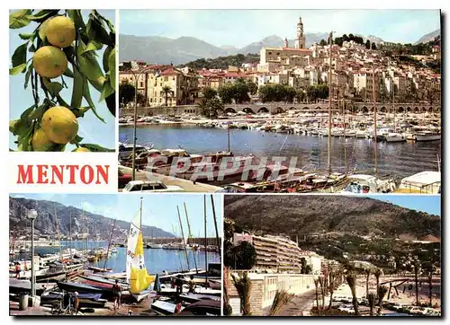 Cartes postales moderne La Cote d'Azur inoubliable Souvenir de Menton