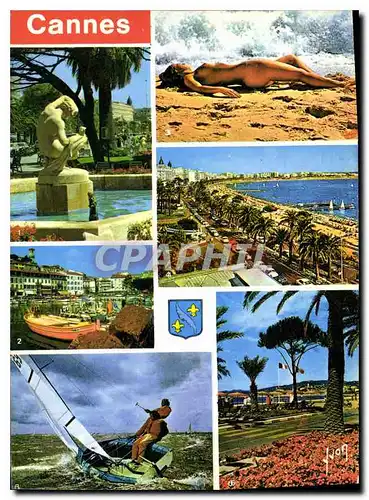 Cartes postales moderne Couleurs et lumiere de France La Cote d'Azur Cannes Alpes Maritimes les Jardins du Casino Le vie