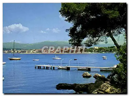 Cartes postales moderne Cote d'Azur le Cap d'Antibes et ses calanques au fond Juan les Pins