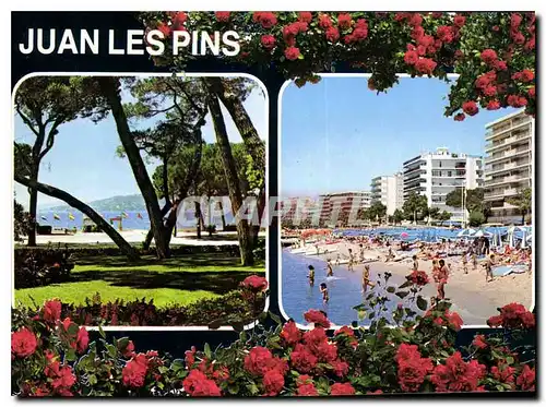 Cartes postales moderne Cote d'Azur Souvenir de Juan les Pins A M