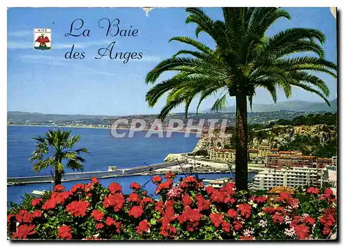 Cartes postales moderne Nice Cote d'Azur La Baie des Anges