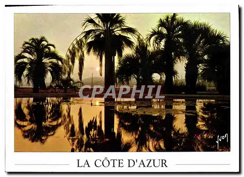 Cartes postales moderne Couleurs et lumiere de France La Cote d'Azur Cannes Alpes Maritimes Coucher de soleil sur les ja